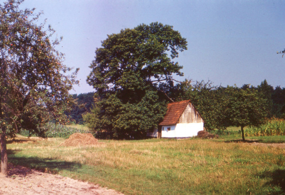 előkép