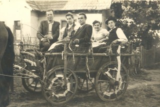 Szüreti mulatságok 3