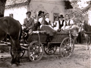 Szüreti mulatságok 5