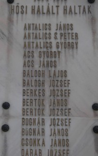 Az I. Vh. Katonai áldozatai