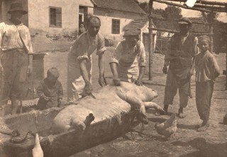 Disznóvágás