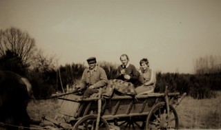 Határszemle