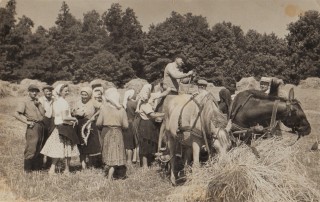 Kévekötők aratáskor