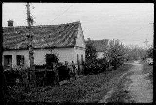 Petőfi 1