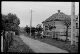 Petőfi 6