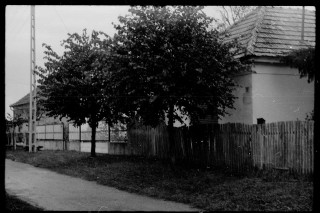 Petőfi 7